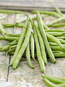 Frijoles