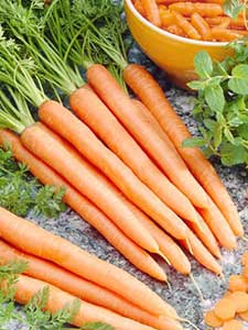 Zanahorias