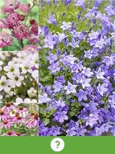 Otras Plantas Perennes