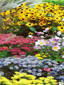 Plantas Perennes