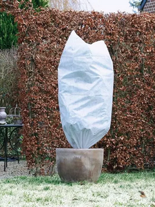 Protección de Plantas