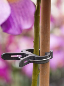 Soportes de Plantas