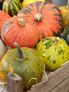 Calabazas