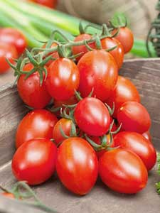 Tomates