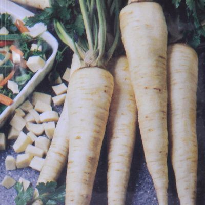 Parsley