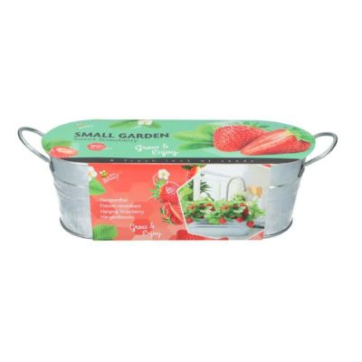 Hanging Strawberry 085465