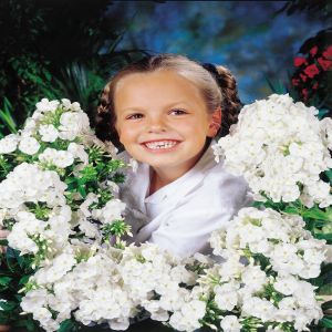 Phlox paniculata Nathalie