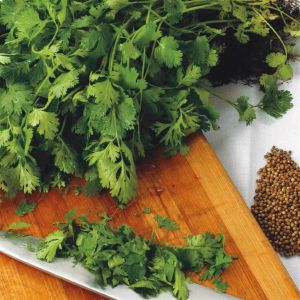 3 1120 Coriander picture