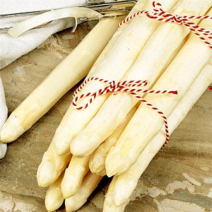 3 2060 Asparagus Early