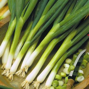3 2883 Spring Onions