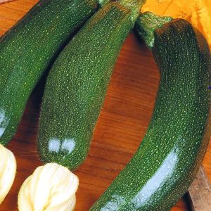 3 2962 Courgette