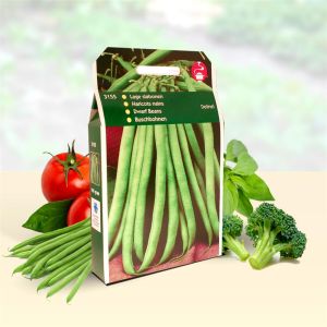 Dwarf Beans Delinel