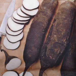 Winter Radish Black long
