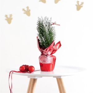 mini kerstboom folie rood