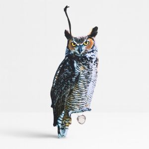 FB142 Vogelverschrikker Oehoe