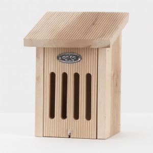 WA70 Vlinderkast in cadeaudoos