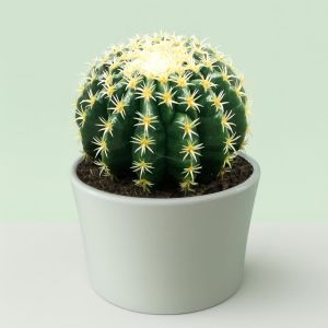 Echinocactus brevispina.jpg