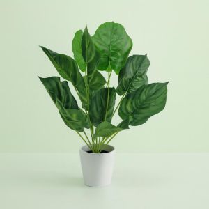 Calathea Orbifolia kunstplant