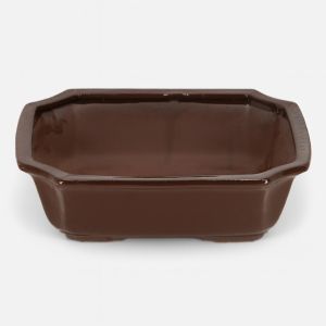 JP015 Bonsai pot rechthoekig L
