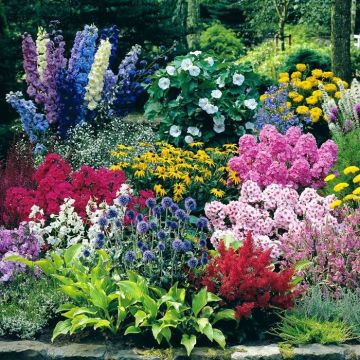 Cottage Garden new