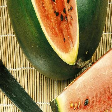 2 2434 Watermelon