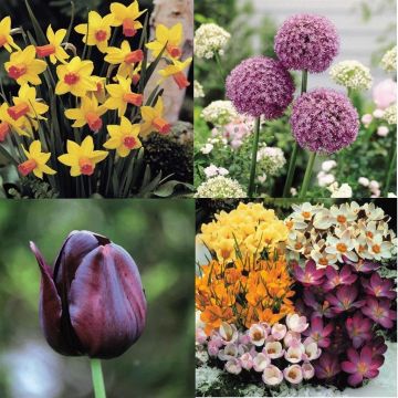 Spring for joy garden