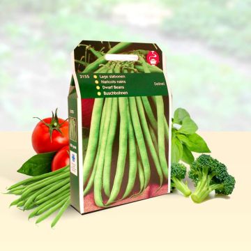 Dwarf Beans Delinel