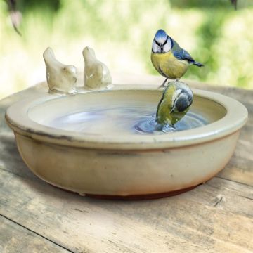 Vogelbad rond White