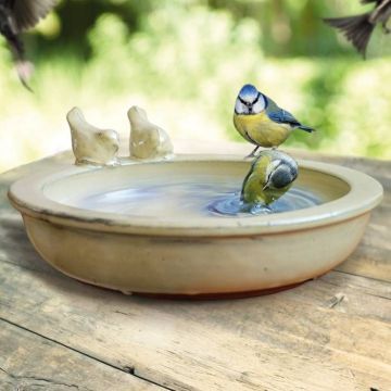 Vogelbad rond White
