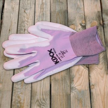 Lovely-Lilac-900252.jpg