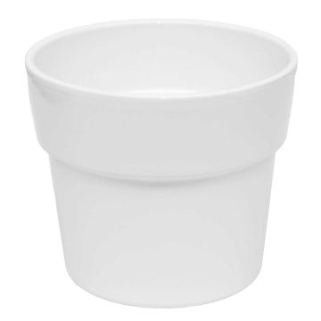 31.690-orch-pot-rim-wit.jpg