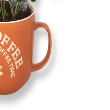 Coffea in koffiemok.jpg