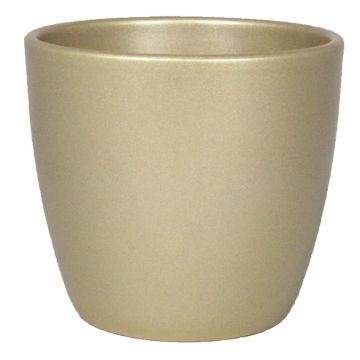 Boule Parel Goud