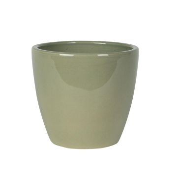 165868 Swen Glazed