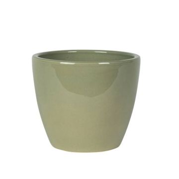 165868 Swen Glazed