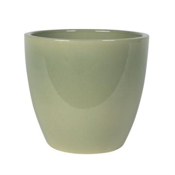 165869 Swen Glazed