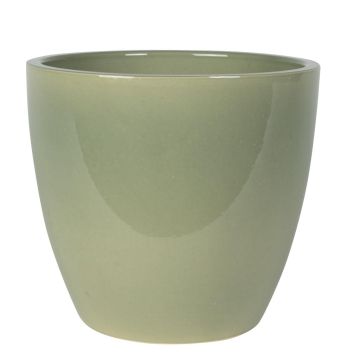 165870 Swen Glazed 165870 Swen Glazed