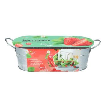 Hanging Strawberry 085465