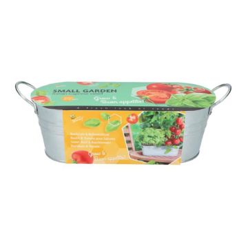 Sweet Basil & Buschtomato 085125