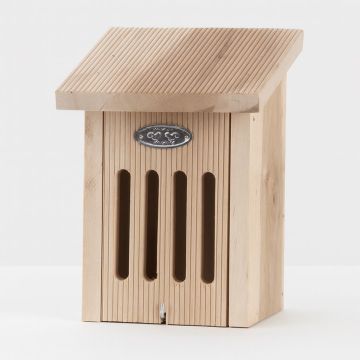 WA70 Vlinderkast in cadeaudoos Studio