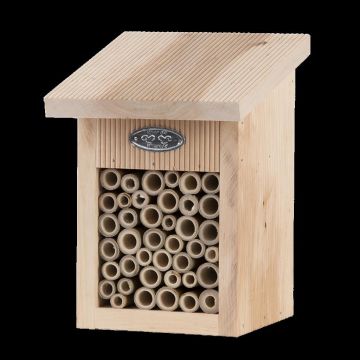 WA69 Bijenhuis in geschenkverpakking