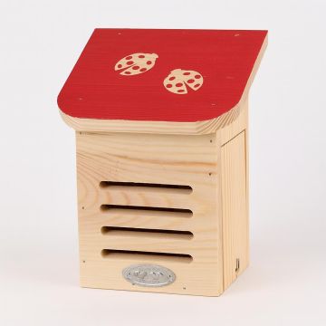 WA80 Diapositief lieveheersbeestjeshuis Studio