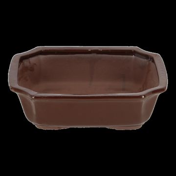 JP015 Bonsai pot rechthoekig L