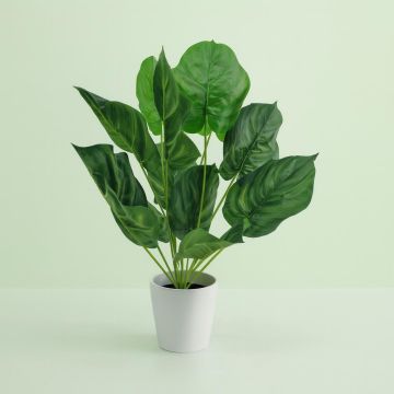 Calathea Orbifolia kunstplant Studio