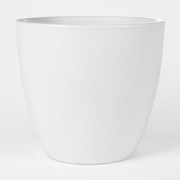 158444 Sven Glazed Studio