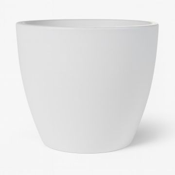 158445 Sven Glazed Studio 158445 Sven Glazed Studio