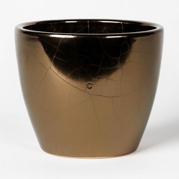 165878 Sven Glazed Studio 165878 Sven Glazed Studio