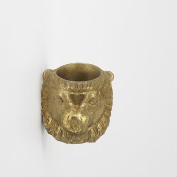 Lion Head Golden diameter 12 cm Studio