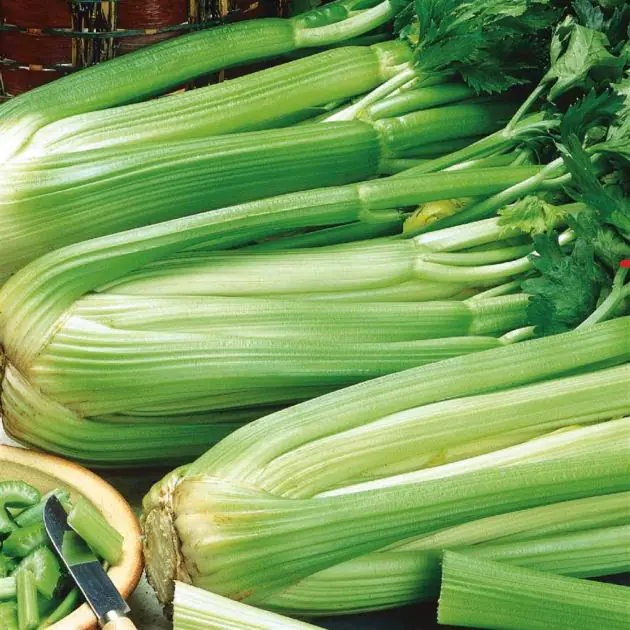 2 2740 Celery