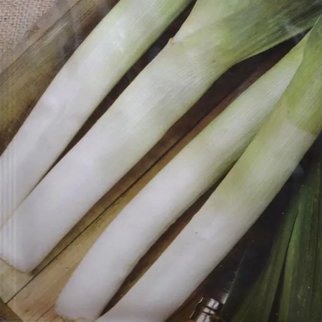 Leek Autumn Mammoth
